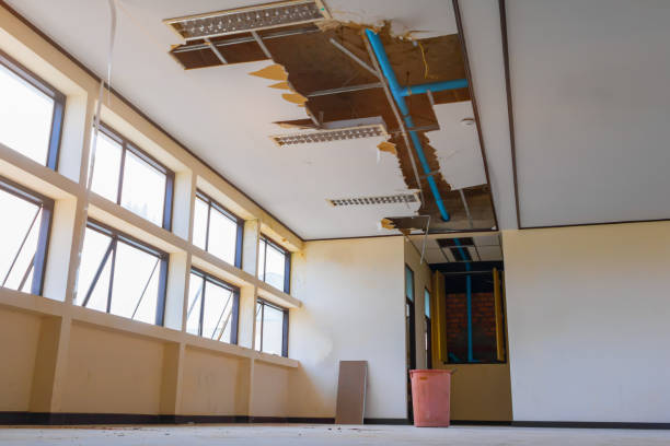 Best Water damage contractors near me  in Jeffersontown, KY