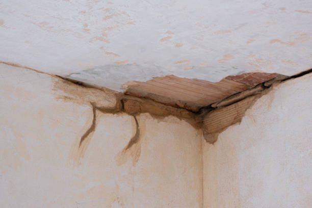 Best Water damage cleanup near me  in Jeffersontown, KY