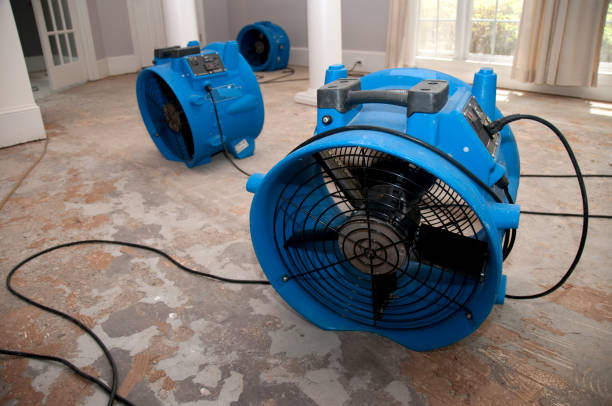 Best 24-hour water damage restoration  in Jeffersontown, KY