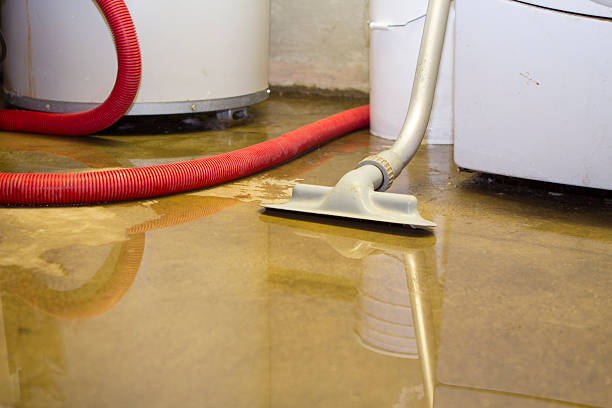 Best Basement water damage restoration  in Jeffersontown, KY