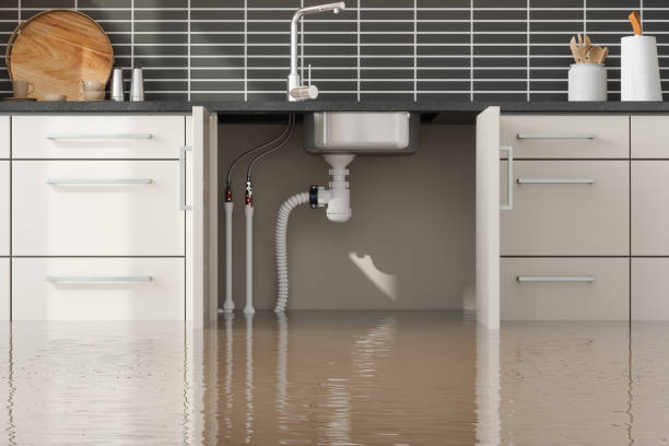 Best Professional water damage repair  in Jeffersontown, KY