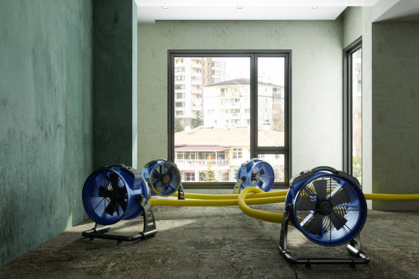 Best Residential water damage restoration  in Jeffersontown, KY